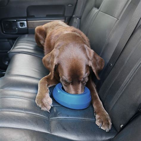 spill proof dog bowl large.